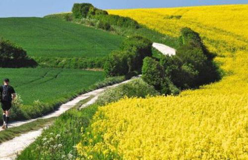 DUPLEX AVEC JACUZZI vue imprenable sur la baie de Wissant - Foto 42