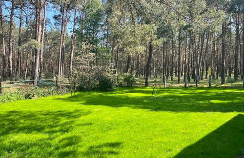 Waldhaus am See - Foto 1