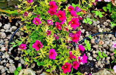 Lovely House - Foto 28