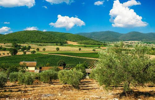 Poggiolivi Agriturismo Bio in Maremma - Foto 28