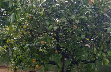 Villa Sargheruoli - Foto 65