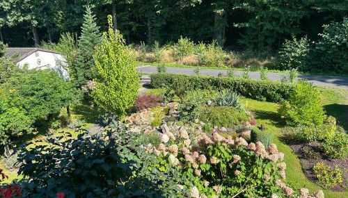Ferienwohnung Familie Petschel - Foto 4, Garden