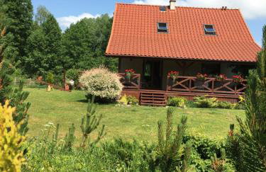 Dom w Sąpach - Foto 6