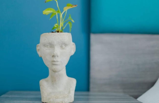 Studiotel Cancún - Foto 12