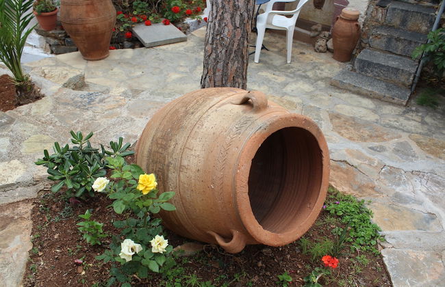 Eliza Hotel - Foto 12