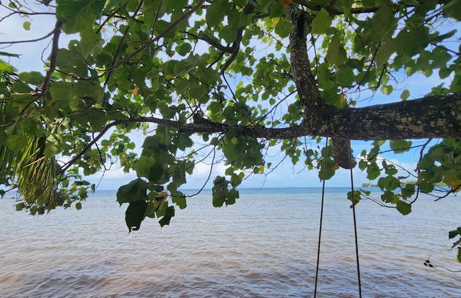 Fare Mama Rota - Photo 43