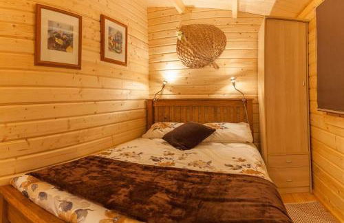 Family friendly sunny Log Cabin - Photo 26