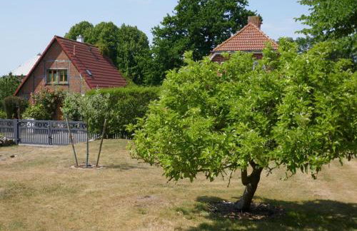Ferienhaus Sturmfrei auf Fehmarn - Foto 67