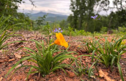 Charming Cabin with Incredible Mountain Views - Foto 56