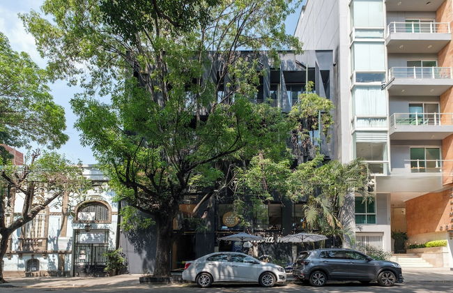 Boga Mexico City by Lumina - Foto 76