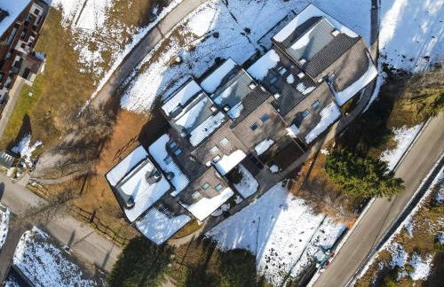 Petit Cirsio - Foto 25