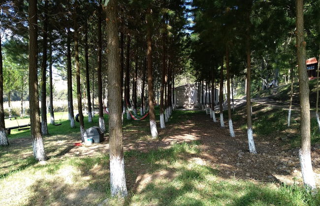 Rancho San Miguel - Foto 14