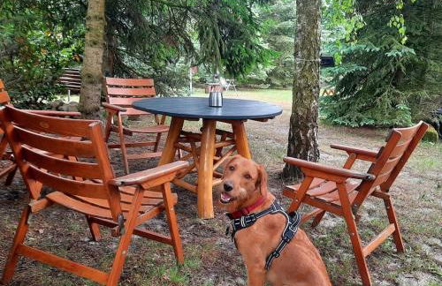 holiday apartment - Foto 13