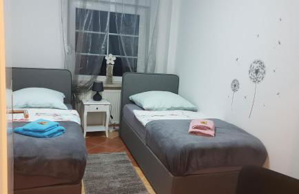 Ferienwohnungen Eisenbarth - Photo 40