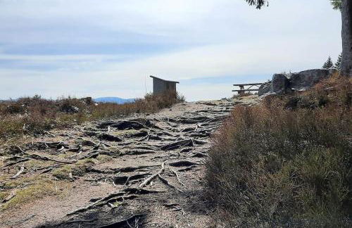 plain-pied proche base de loisirs et voie verte - Foto 31