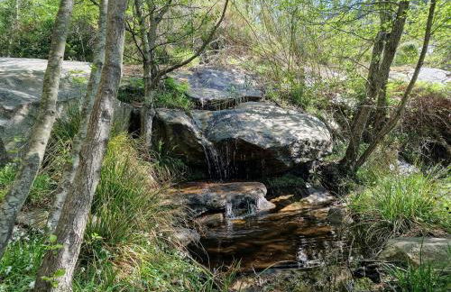 Sea View House Among Holm Oaks On Elba - Photo 37