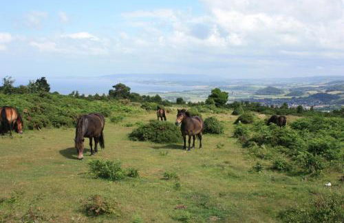 Ruffles Cottage Dunster - Photo 30