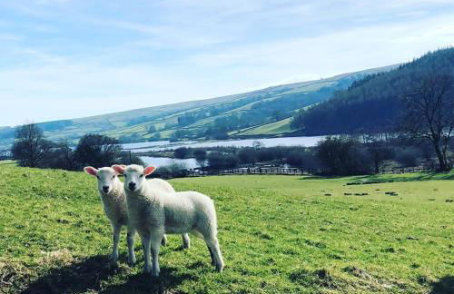 Fern Cottage - Cosy Dales Cottage in Nidderdale - Photo 46