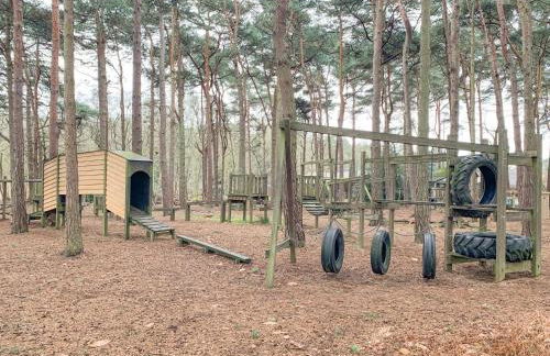 Robin's Retreat - Photo 22