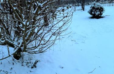 Ferienhaus am Saaler Bodden - Foto 29