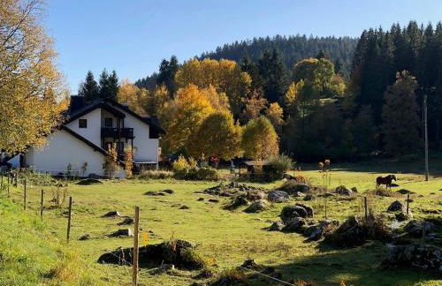 Gästehaus Seewald- Ferienwohnung 4 "Lärche", Schluchsee, Blasiwald - Foto 15