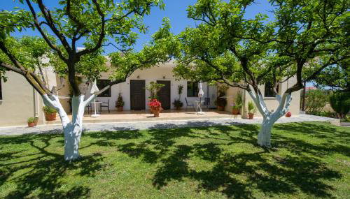 Studios Kydonia - Foto 4, Garden