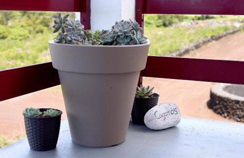 Vista Montanha - Foto 69