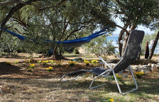 Peaceful 2-bedroom Robinson House Orca - Photo 12