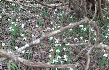 Apartamento LA MONTESA - Foto 56