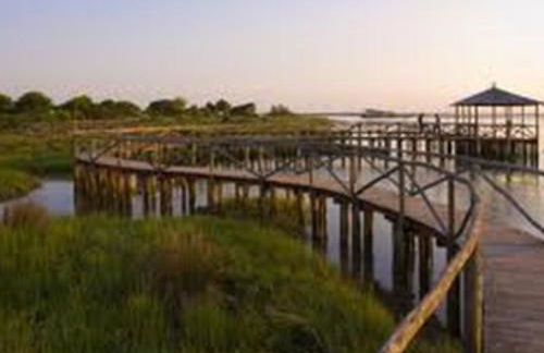 Villa Cortina - Photo 18