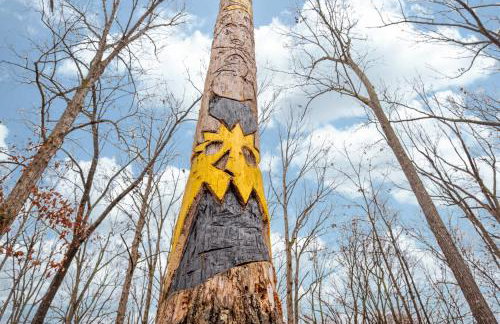 Serene 4br Country Retreat Awaits - Near Greensboro and Elon University - Foto 9