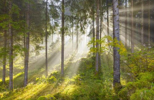 La Valle dei Laghi - Foto 42