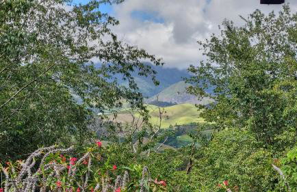 Fazenda Vista Soberba - Foto 54