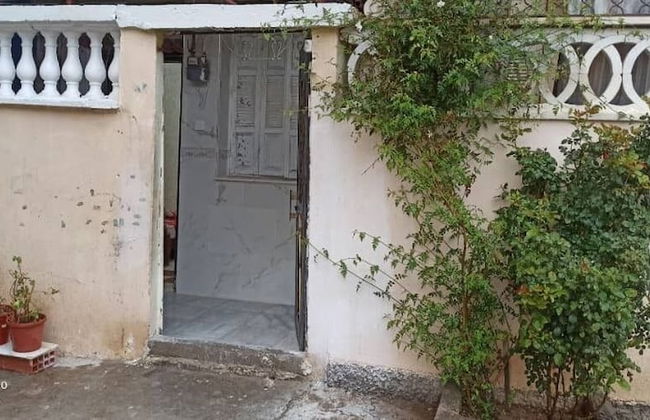 Dream Home - Photo 13