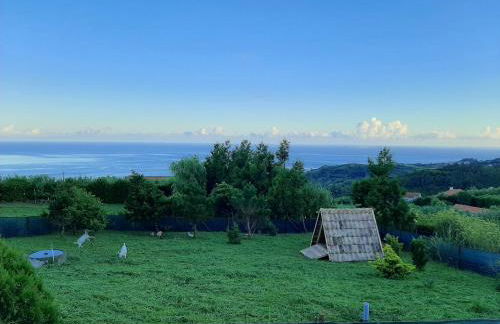 Quinta das Primas - Foto 25