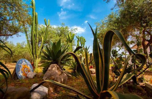 Medimare Residence Club - Foto 37