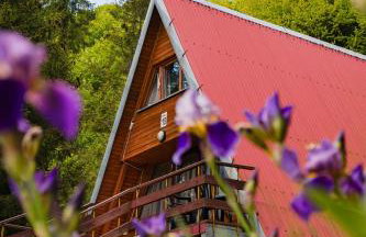 Perełka Bieszczady Domki - Photo 1