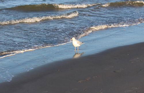 Wohnung Bernstein - Nr. 4 - Foto 9