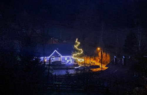 Saneczkowa 1 - Foto 28