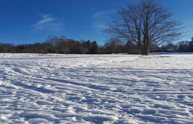 Fenced Garden, Friedrichsbrunn - Photo 37