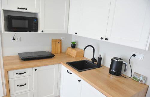 Apartament Bystrzyca Kłodzka - Foto 23