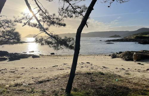 Camino de Rosa's - Foto 37