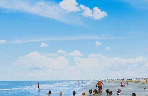 Pequena casa na Praia do Cassino - Foto 39