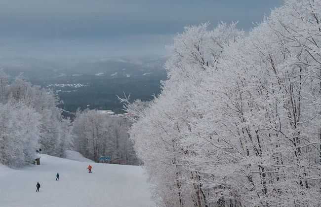 Be zen With Nature Enjoy Private hot tub Citq 301946 - Foto 37