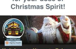 Folsom Old Town Escape • Cozy Cottage + Library - Foto 40