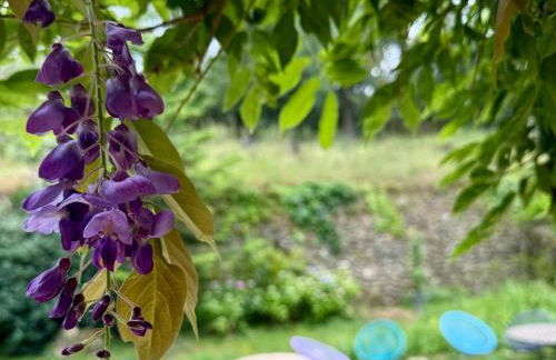 Bambou Studio, Cocon nature - Foto 30