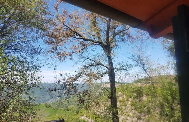 Agriturismo Piccola Raieda - Photo 66