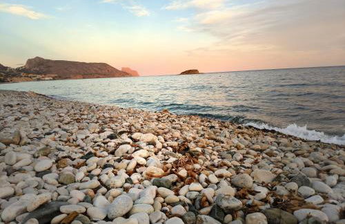 Altea Flying Whale - Photo 23