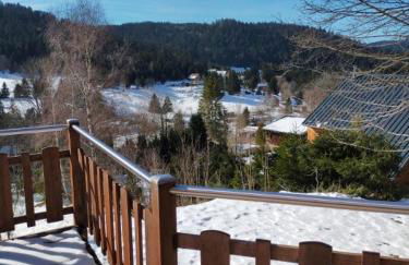 Chalet avec superbe vue dégagée - 10 min de Gérardmer - Foto 34