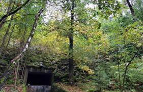 Mira Moleta bienvenidos a Canfranc - Photo 34